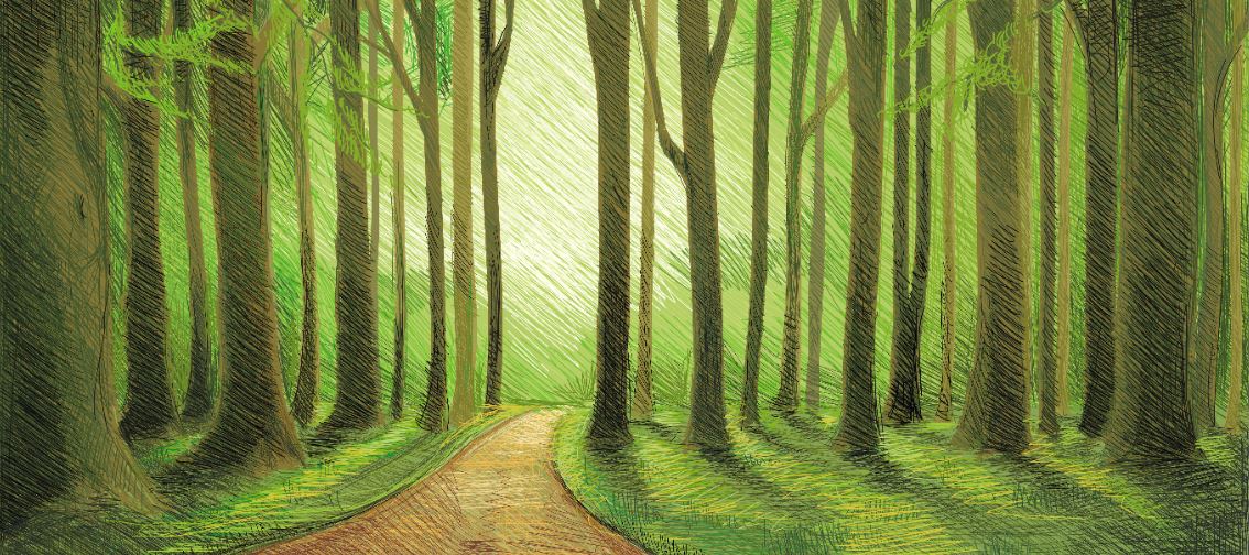 Green-Forest-Cropped